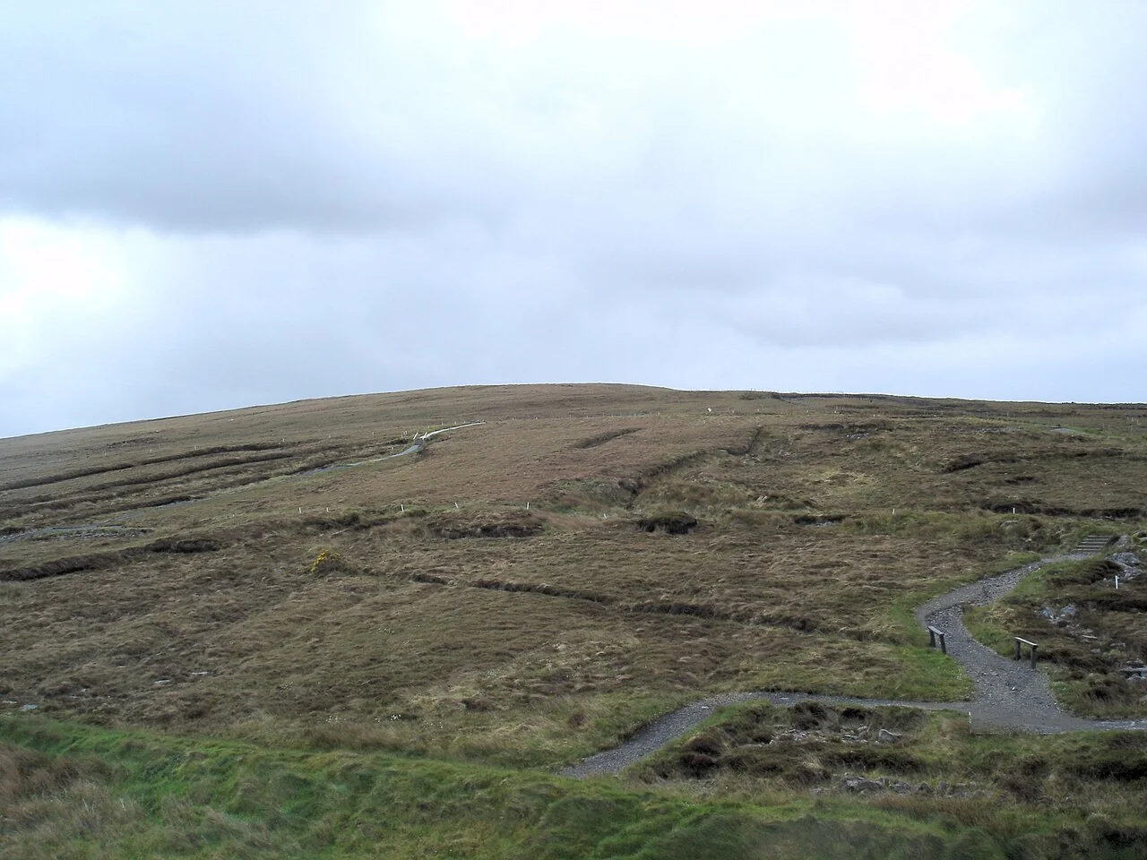 Ceide Fields Neolithic Site — direct archive visual. Shown from the cited image source.