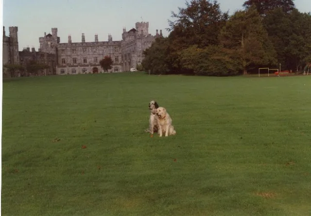 Kilkenny Castle, Kilkenny, Ireland geograph.org.uk 75435 — representative context visual. Shown from the cited image source.
