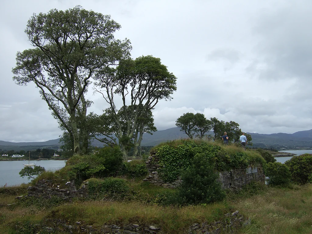 Dunboy Castle — representative context visual. Shown from the cited image source.